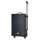 Combiné Enceinte Portable (batterie/secteur)